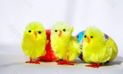 Three Easter Chicken
