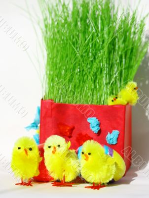 easter chickens 