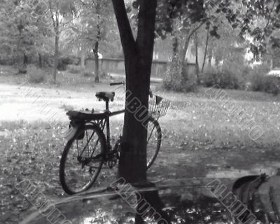 Bicycle in the rain