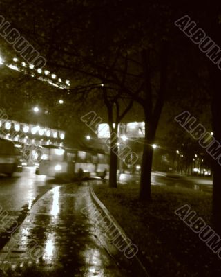 St.-Petersburg. Night.