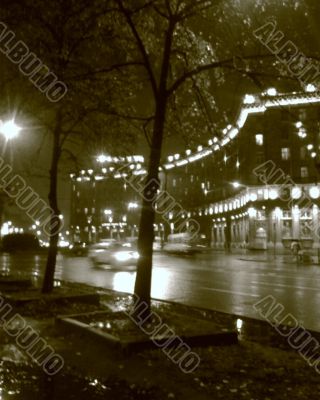 St.-Petersburg. Night.