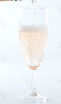 Peach Champaign