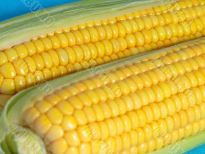 Yellow corn