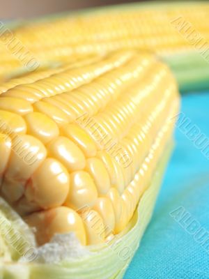 Yellow corn