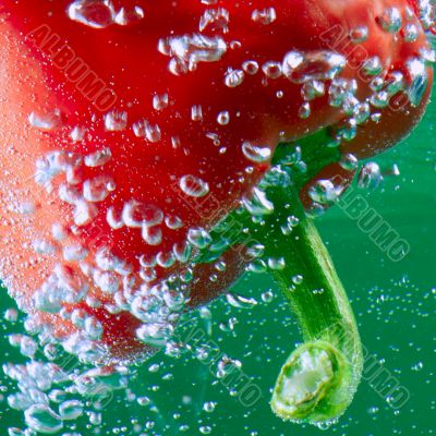 red pepper between bubbles