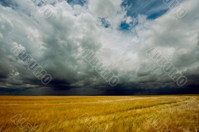 Storm dark clouds over field