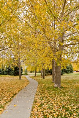 Autumn in Regina