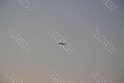 Airplane