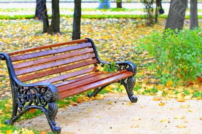 bench in a holiday park in autumn