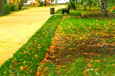 lawn in the park in autumn