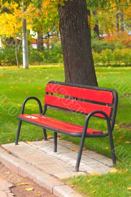bench in a holiday park in autumn