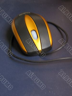 Computer mouse. 