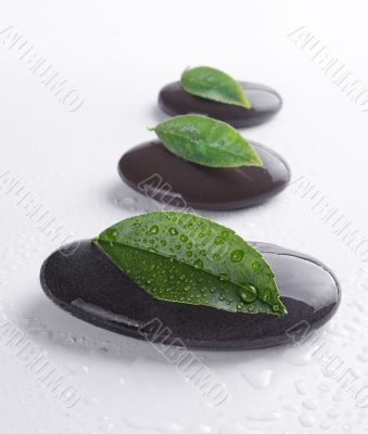 zen stones with leaves