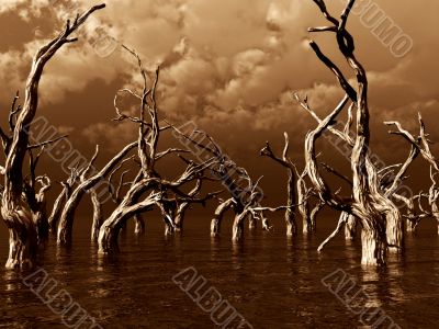 dead trees