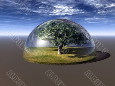 tree