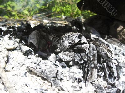 Bonfire and the coals after burning fire