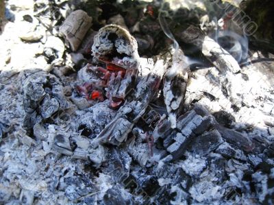 Bonfire and the coals after burning fire