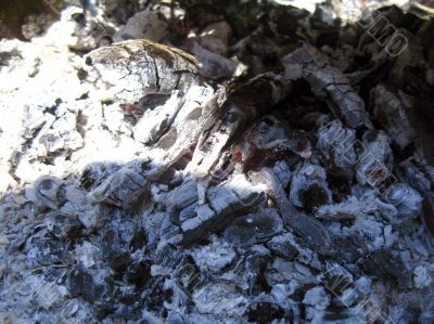 Bonfire and the coals after burning fire