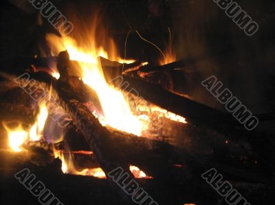 Bonfire and burning fire in the night