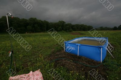 Swimming pool in the meadow.