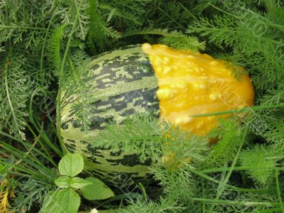 Decorative pumpkin
