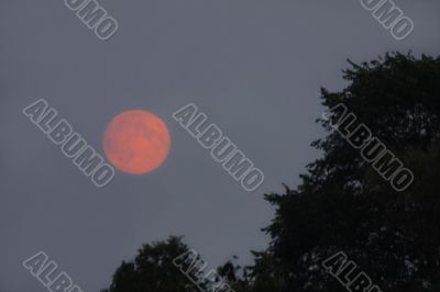 Background of night sky with moon.