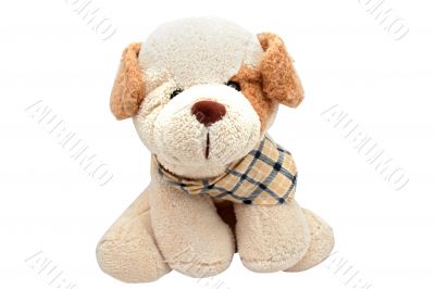 Toy dog