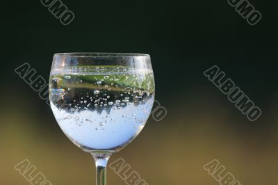 Glass with drink.