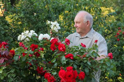 Grower of roses