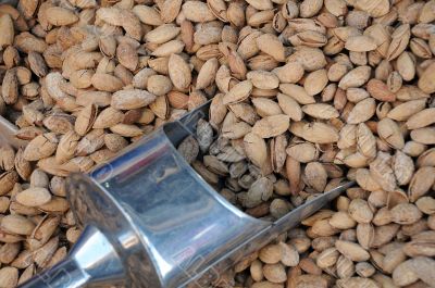 Unshelled Almonds and Metal Scoop