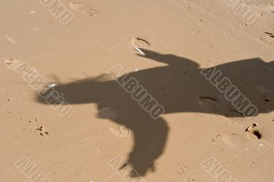 Shadow in dune