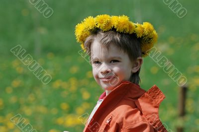 Boy in dandelion meadow.