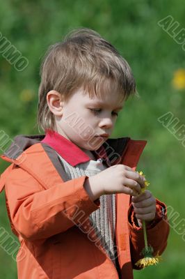 Boy in summer day.