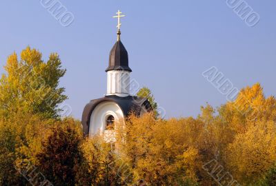 White Chapel and Golden Trees