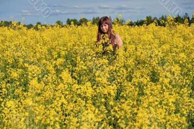 Beauty girl in flower meadow.