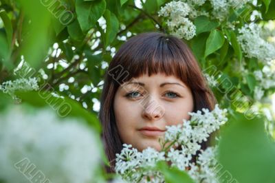 Beauty girl in lilac.
