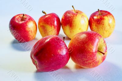 apples