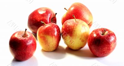  apples  