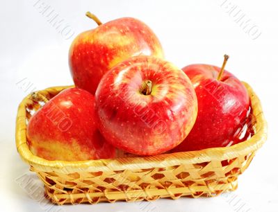  apples  