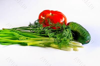  vegetables for a salad 