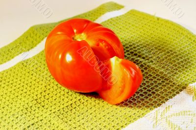  tomato on a white background 