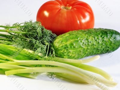  vegetables for a salad 