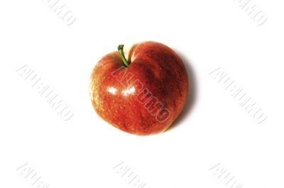a big red apple