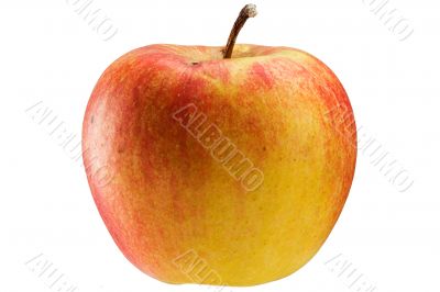 Multicoloured apple