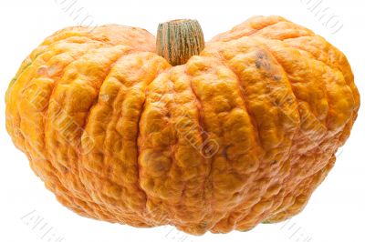 Orange pumpkin isolated on white background.