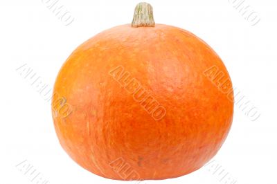 Orange pumpkin isolated on white background.