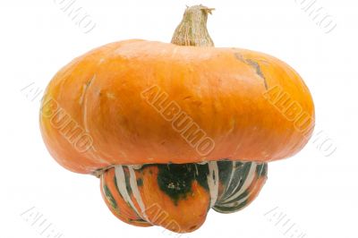 Orange pumpkin isolated on white background.