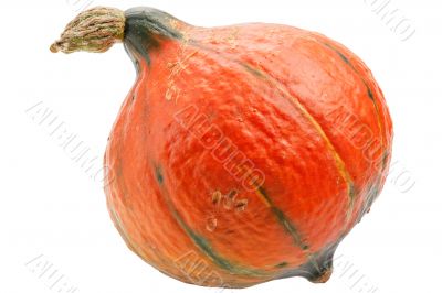 Orange pumpkin isolated on white background.