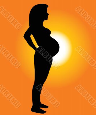 The Silhouette of the pregnant woman.