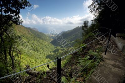 View of hiking trail